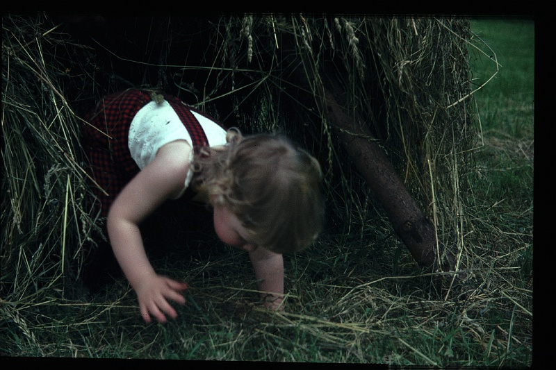 29.Regensburg jun 1965 Marion.JPG